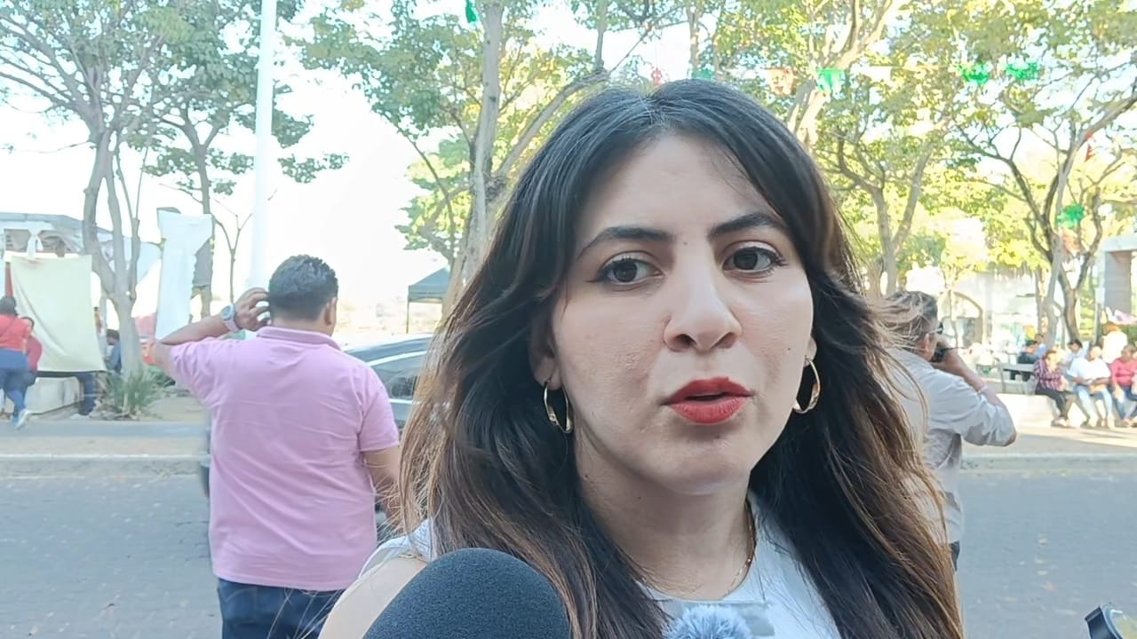 Sucesor deberá ser del Servicio  Profesional Electoral Nacional:Elizabeth Tapia Quiñones