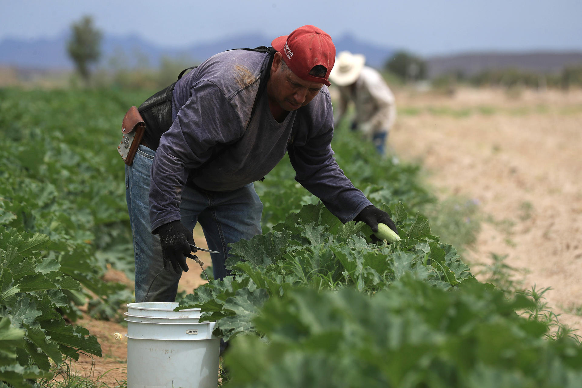 Agricultores critican baja productividad agrícola y dependencia de importaciones