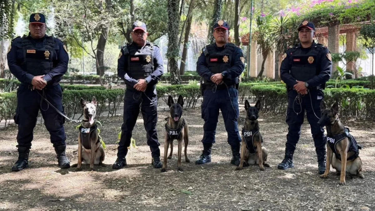 Refuerzan seguridad rumbo al Mundial 2026 con binomios caninos
