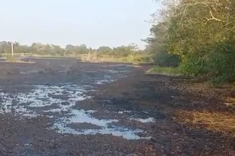El Blasillo sigue devastado por derrame de hidrocarburo e incendios olvidado por Pemex: Gerald Washington Herrera