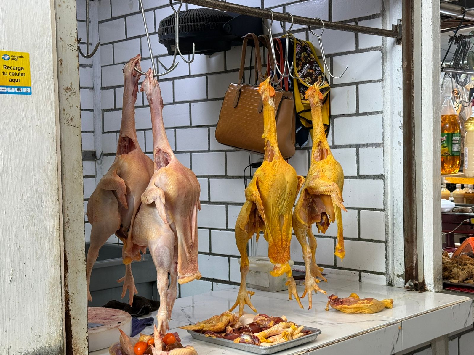 Comerciantes de aves prevén incremento de hasta 100% en ventas
