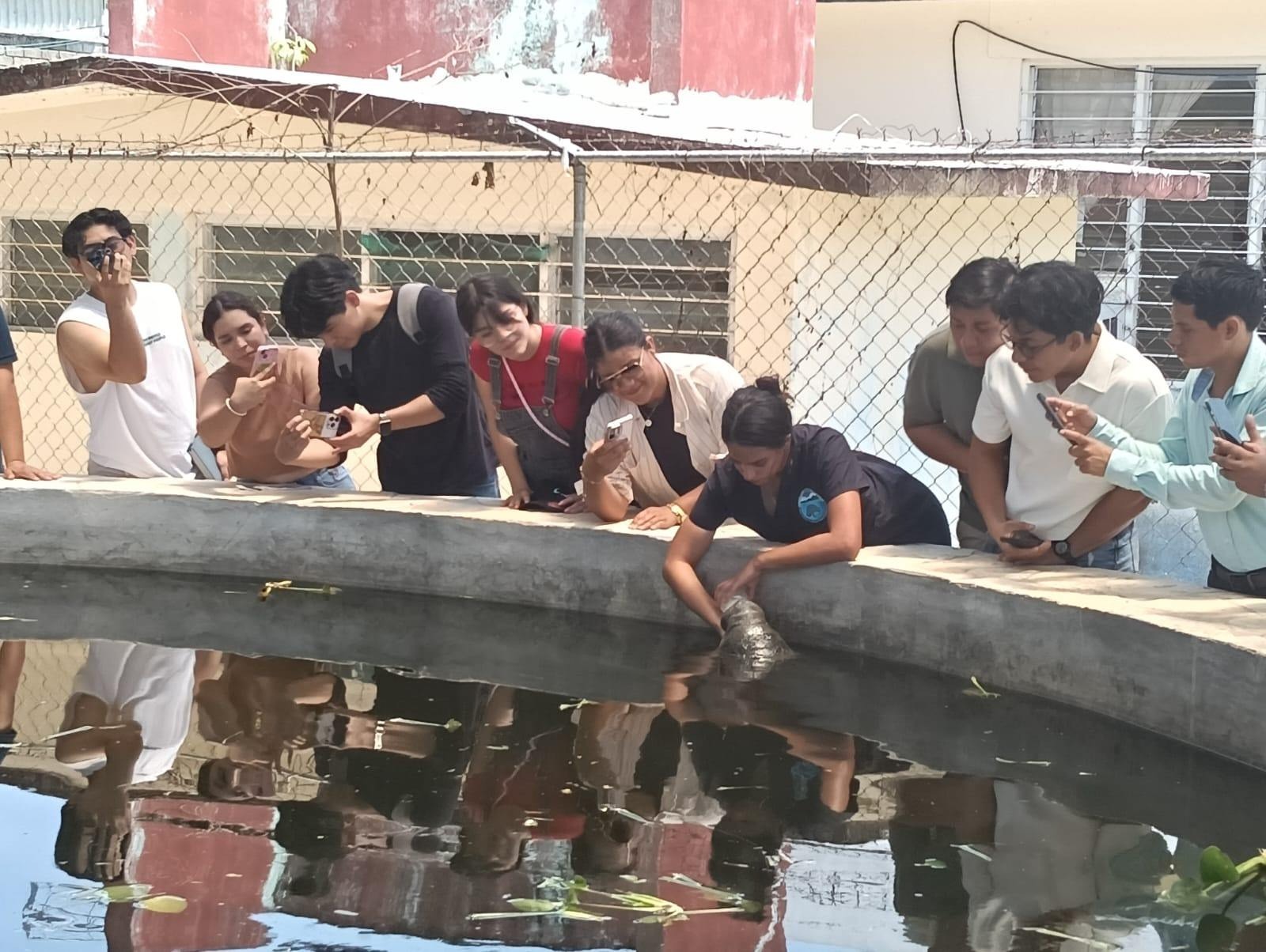 Alumnos de Genómica de la UJAT exploran procesos evolutivos del manatí en la laguna de Catazajá