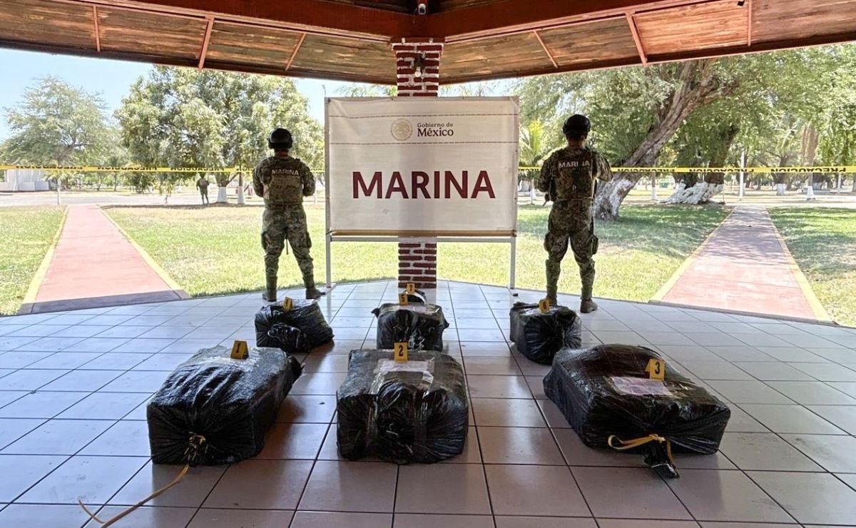 Marina incauta 56 mdp en cocaína en costas de Michoacán