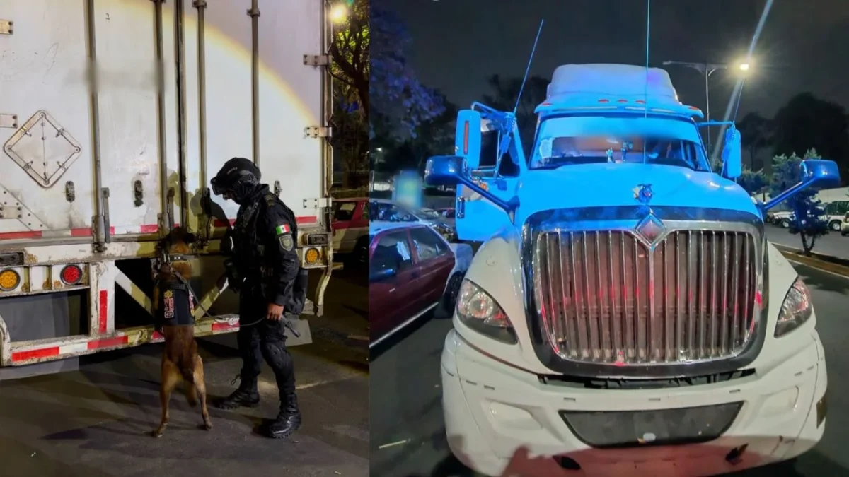 Aseguran 1.2 toneladas de marihuana en CDMX; hay cuatro detenidos