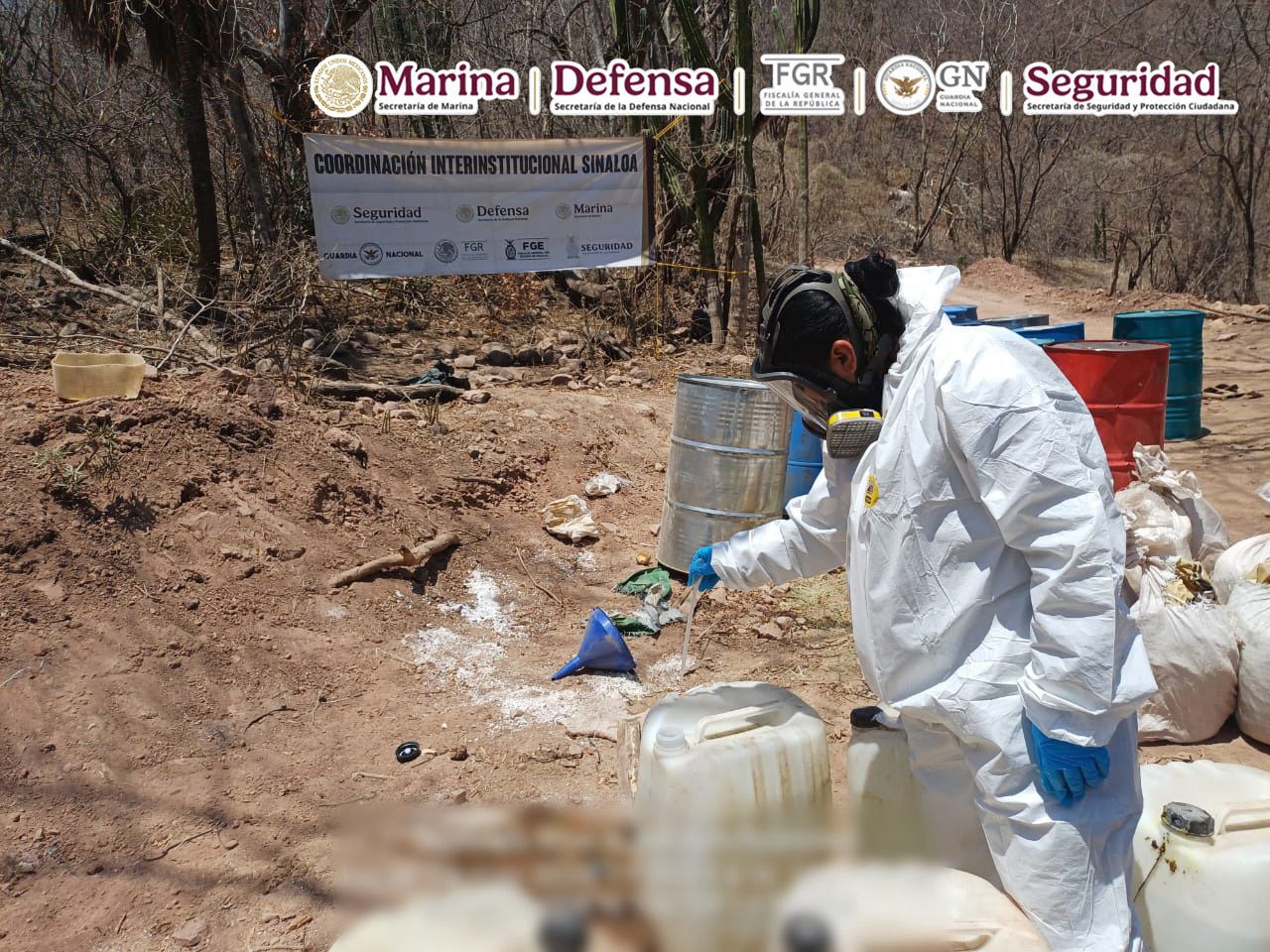 México golpea al narcotráfico: desmantelan tres laboratorios y frenan operación millonaria en Sinaloa