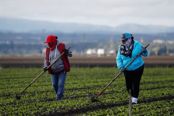Mexicanas en EU impulsan economía con aportación superior a un billón de dólares
