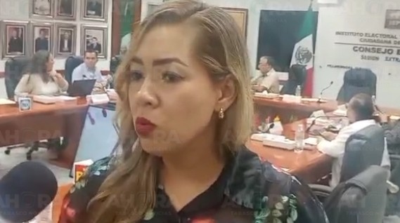 Definición de género en candidaturas pendientes: Elizabeth Nava Gutiérrez