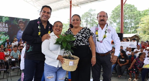 Impulsa Chiapas producción cafetalera en la Frailesca