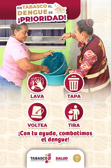 DENGUE 2026-430 X 650-PX-VERSIÓN-1
