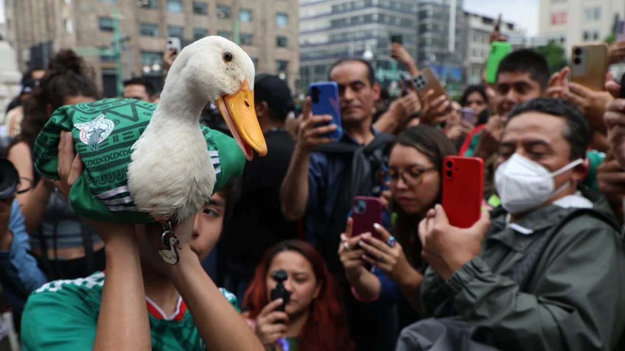 Familia de Merlín busca proteger su imagen