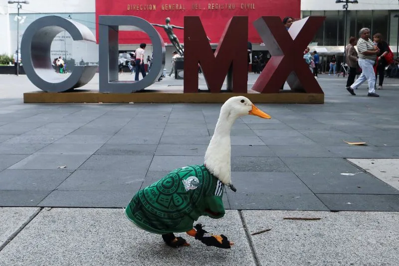 Pato Merlín conquista a los aficionados del Mundial