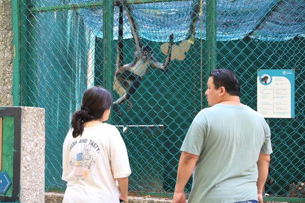 Animales de La Venta ya estan en el Yumká por obras de remodelación: Javier May Rodríguez