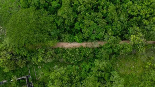 Yucatán ampliará red de caminos rurales