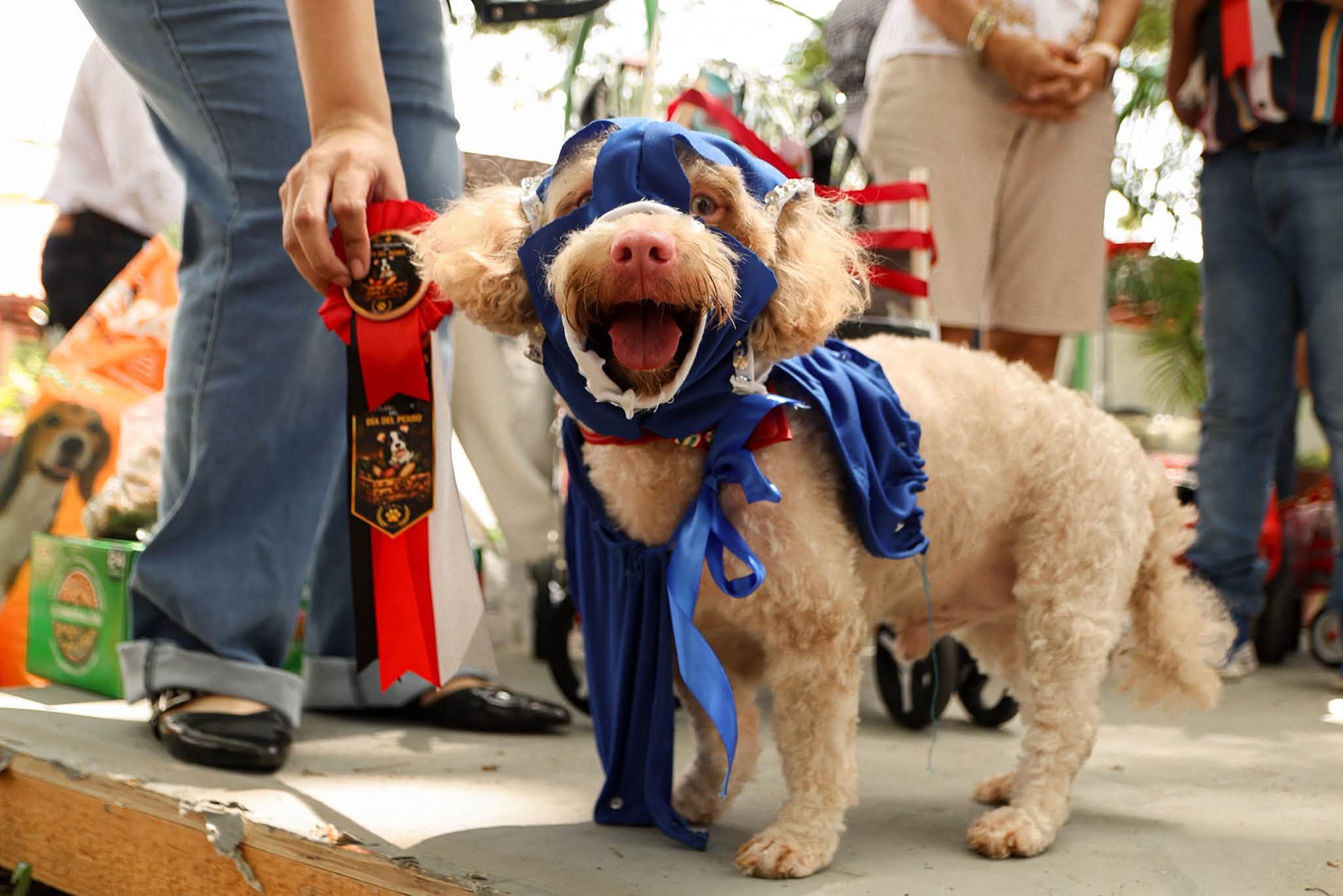 Comalcalco celebra el Día del Perro con concurso de disfraces