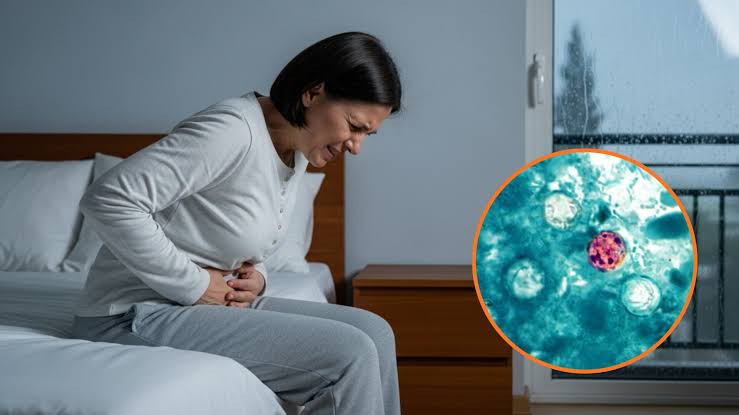 Alertan por posible llegada de ciclosporiasis a México durante temporada de lluvias
