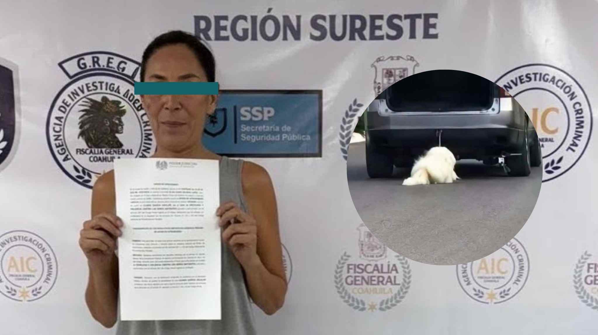 Muere «Rocky», perro arrastrado por una camioneta en Coahuila