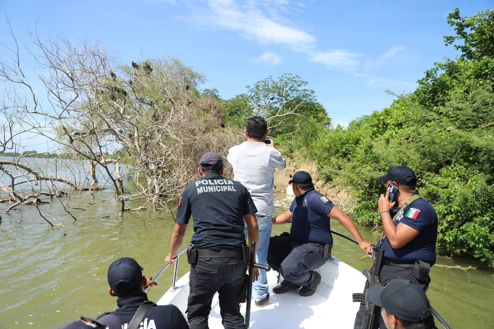 Hallan manatí muerto en el río Usumacinta; autoridades activan protocolo de investigación